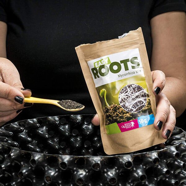 Royal Queen Seeds - Easy Roots Mycorrhiza Mix 50g