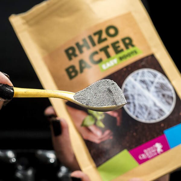 Spoonful of Rhizo Bacter product held over a package of the product.