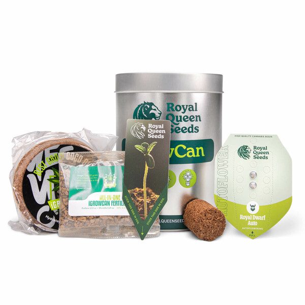 Royal Queen Seeds - iGrowCan