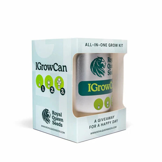 Royal Queen Seeds - iGrowCan