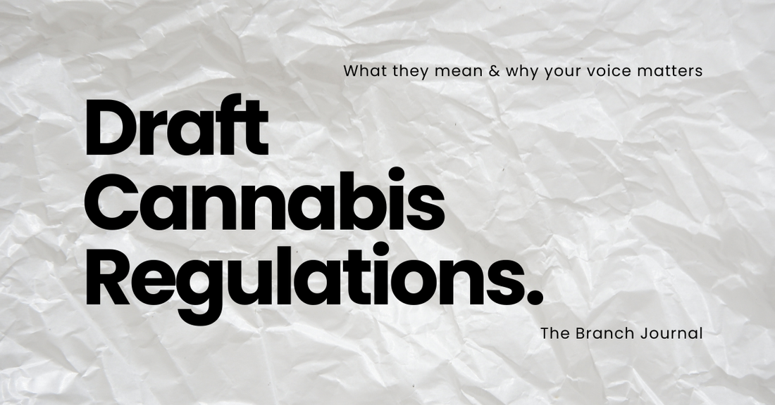 Draft Cannabis Regulations (2025): What They Mean & Why Your Voice Matters