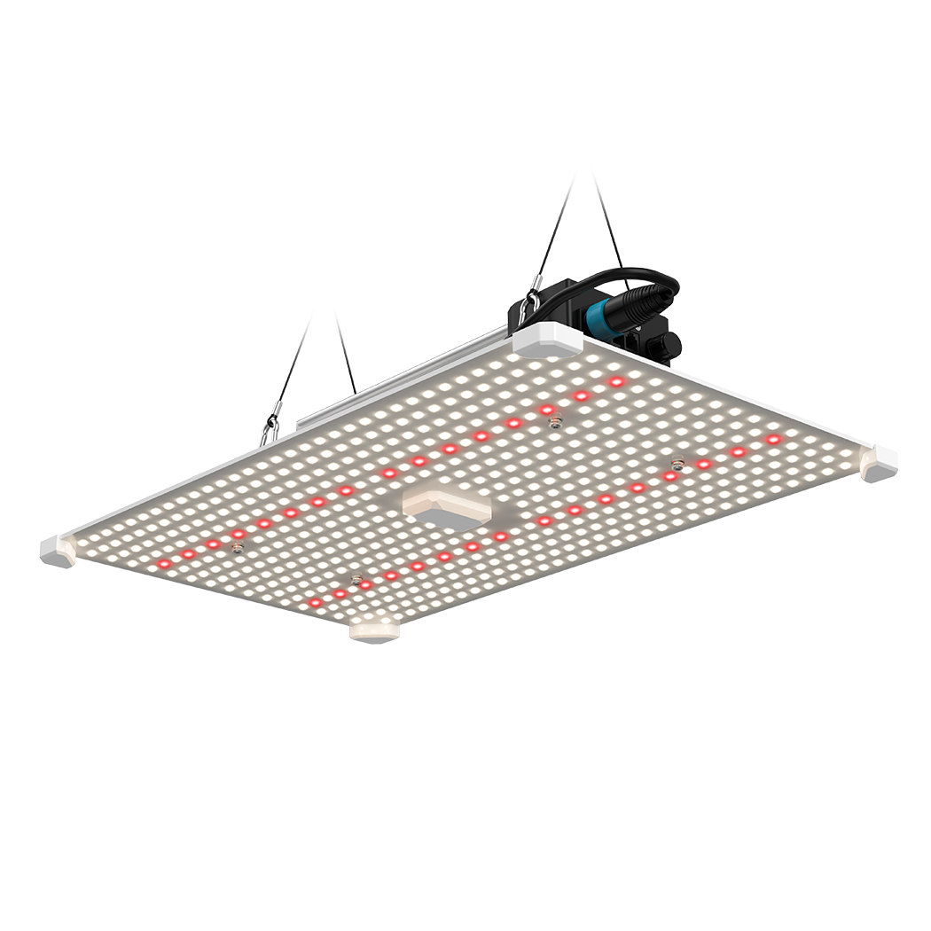 LUMii BLACK Blade 200W LED Grow Light