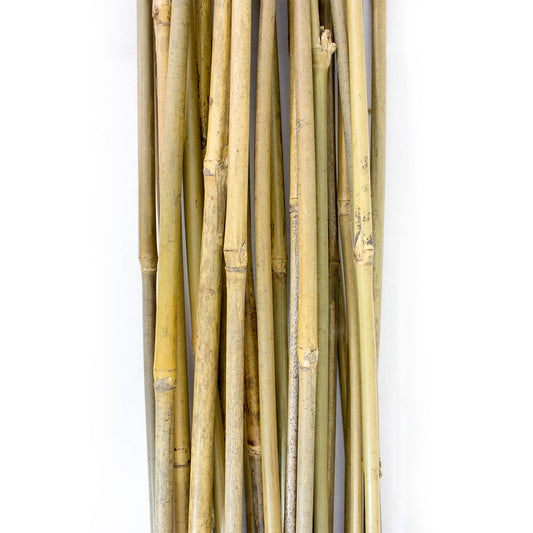 Plant!t Bamboo Stakes