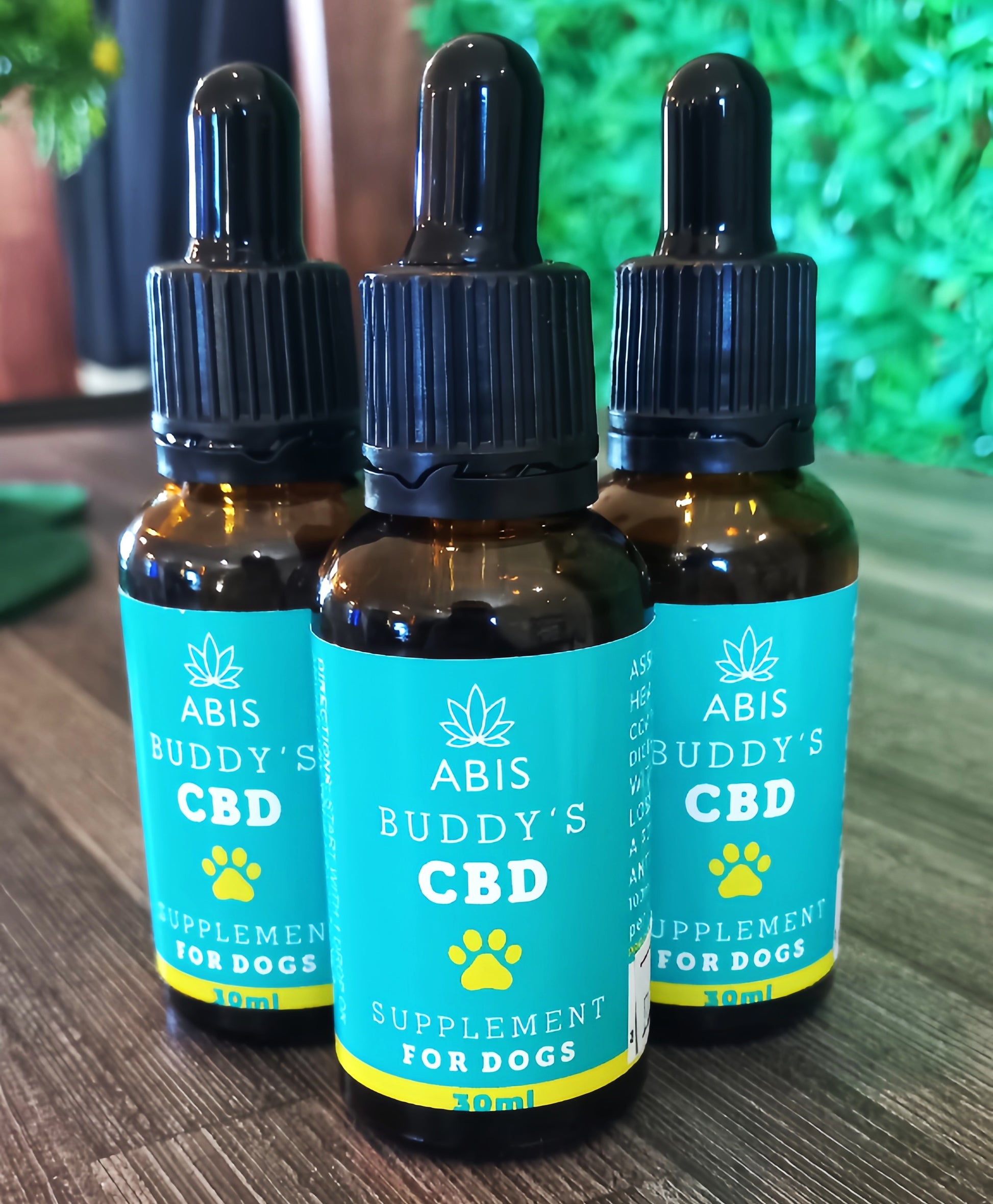 Abis Buddy's CBD Supplement for Dogs 30ml – Amber Dropper Bottle, Teal Label