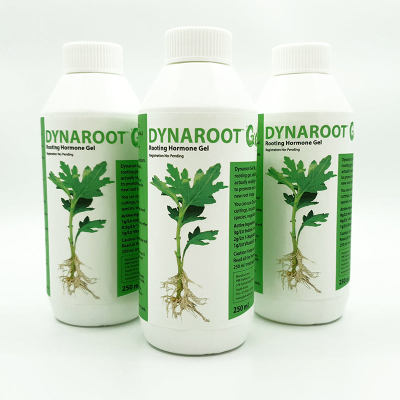 Dynaroot Rooting Hormone
