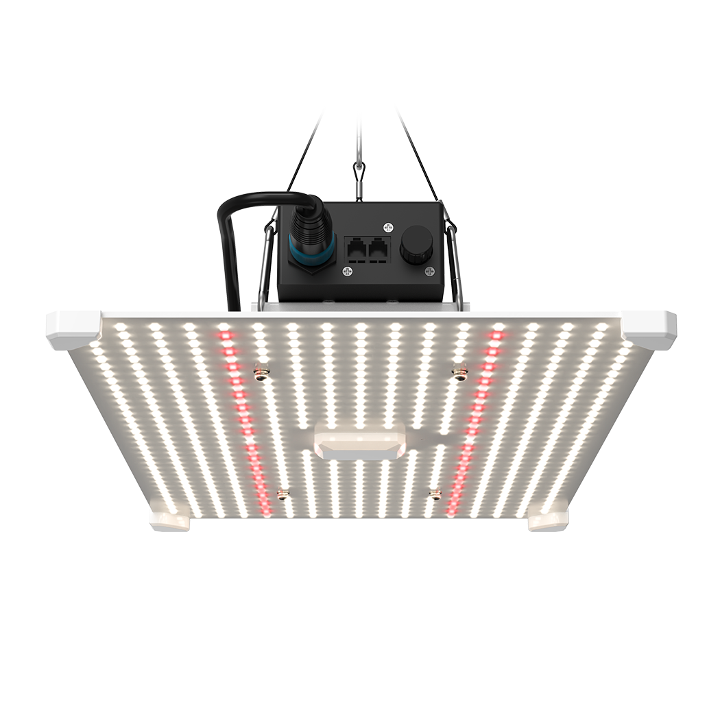 LUMii BLACK Blade 200W LED Grow Light – Full Spectrum White Red Chip Panel, 1m² Coverage