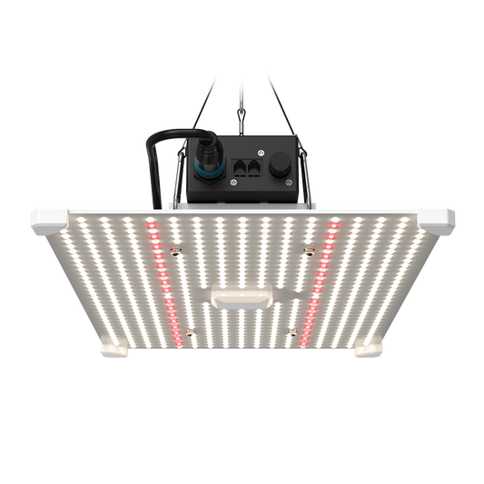 LUMii BLACK Blade 200W LED Grow Light – Full Spectrum White Red Chip Panel, 1m² Coverage