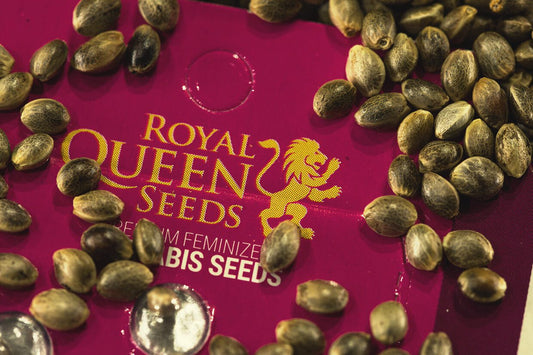 Royal Queen Seeds - Feminized Seeds Selection