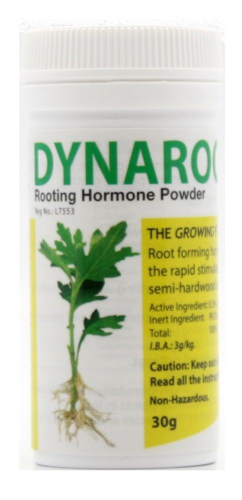 Dynaroot No.2 rooting hormone for semi-hardwood cuttings in 30g powder and 250ml gel for fast root development
