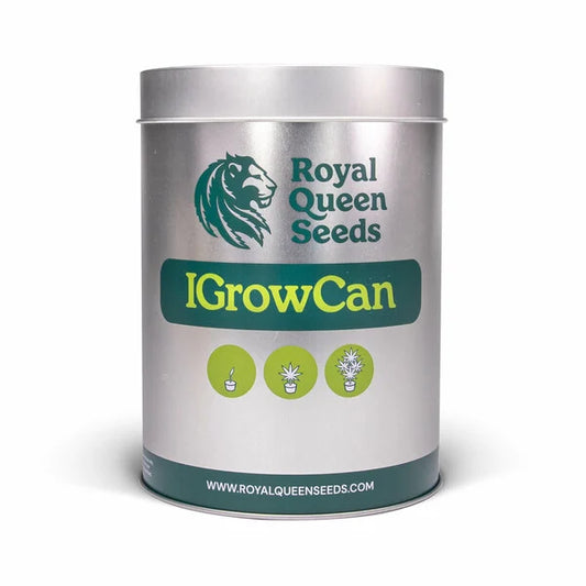 Royal Queen Seeds - iGrowCan