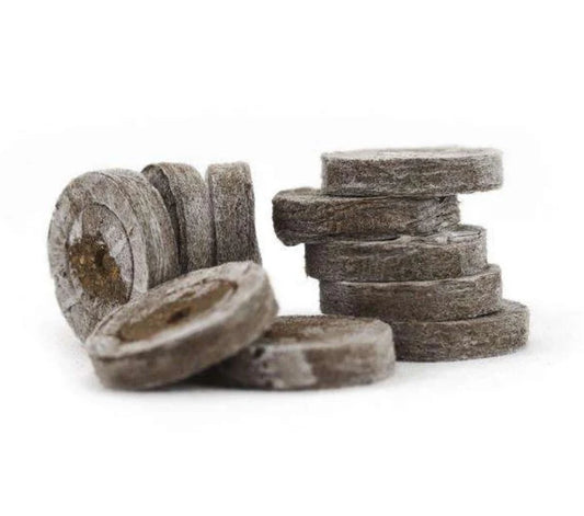 Kushy : Jiffy-7 Plugs