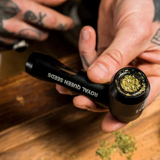 Royal Queen Seeds - Titan Pipe