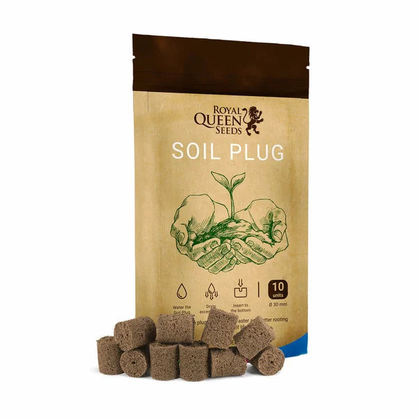 Royal Queen Seeds - Soil Plugs