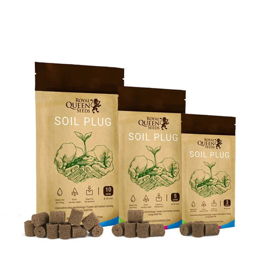 Royal Queen Seeds - Soil Plugs